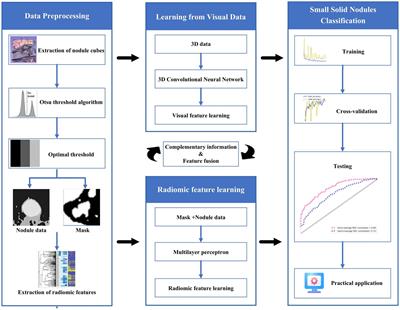 An integrated convolutional neural network for classifying small pulmonary solid nodules